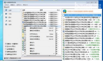 提升系统搜索速度，打造无处不在的光速搜索体验——网络与信息安全软件开发策略